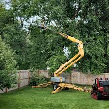 Best Arborist Consultation Services  in Aberdeen, IN